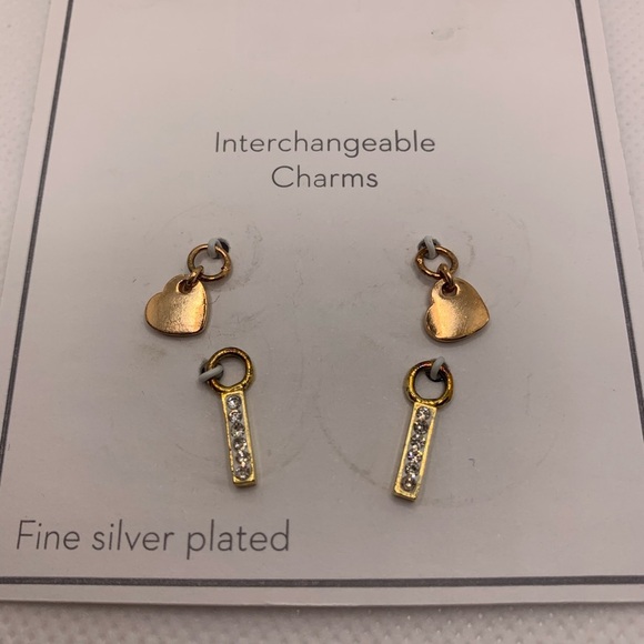 Gold and Silver Interchangeable Earrings Set with Charms - Picture 4 of 8